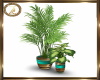 elegant pots with plants