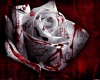 Bloody Rose Room