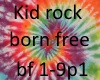 kid rock born free p1