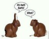 Choco Rabbits funny