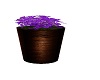  Flower Barrel