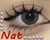 CC - LASH ALICE 2