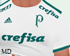 MD] Football Palmeiras