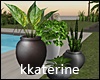 [kk] Pot  Plants