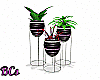 Potted Plant Trio 1
