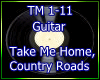 Guitar Take Me Home