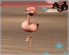A3D* Little Flamingo