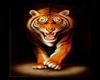 Tiger Framed 2