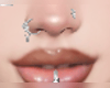 piercing fl