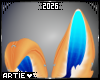 A* Bailey | Ears 1