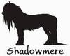 Shadowmere Horse