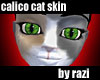 Pale Calico Cat
