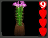 J9~Cactus Potted Plant