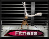 [my]Fitness CartWheel