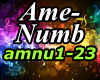 Ame-Numb
