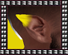 Wolf Ears Yellow