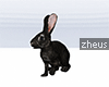 Zheus Rabbit Furni 3