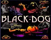 Led Zepplin BLACK DOG
