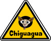 The Chiguagua Family RM.