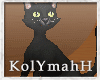 KYH |Halloween cat