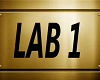 Lab 1 Sign