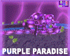 4u Purple Paradise Club