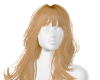 Taylor- Ginger