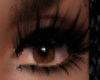 Eyes / Coumba