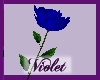 (V) blue rose holding