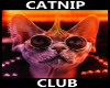 CAT NIP CLUB
