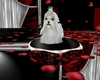 ~MM~ Whte Maltese In Bed