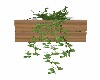 WOODEN  WALL  PLANTER