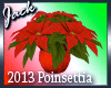 2013 Poinsettia