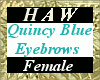 Quincy Blue Eyebrows - F