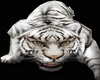 White Tiger Guard