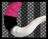 ~F~ Pinkster Tail