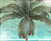 Palm W Lightparty
