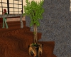 Custom Plant IV