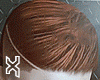 Cabelo/Hair Ginger