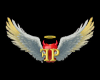 club logo
