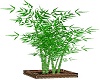 bamboo plant art deco