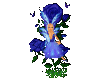 Pretty Blue Rose Fairy