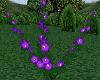 Flower Bush Purple