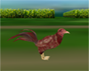 Animated Chicken farming