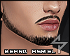 s. Asriel Beard M