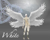  white angels club