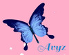 Blue  Butterfly