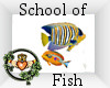 ~QI~ School of Fish