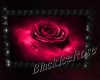 [BIR]Rose-Love-Pic