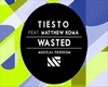 Wasted - Tiesto